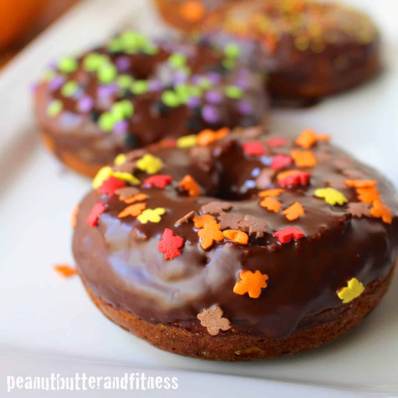Paleo Pumpkin Protein Donuts Peanut Butter and Fitness