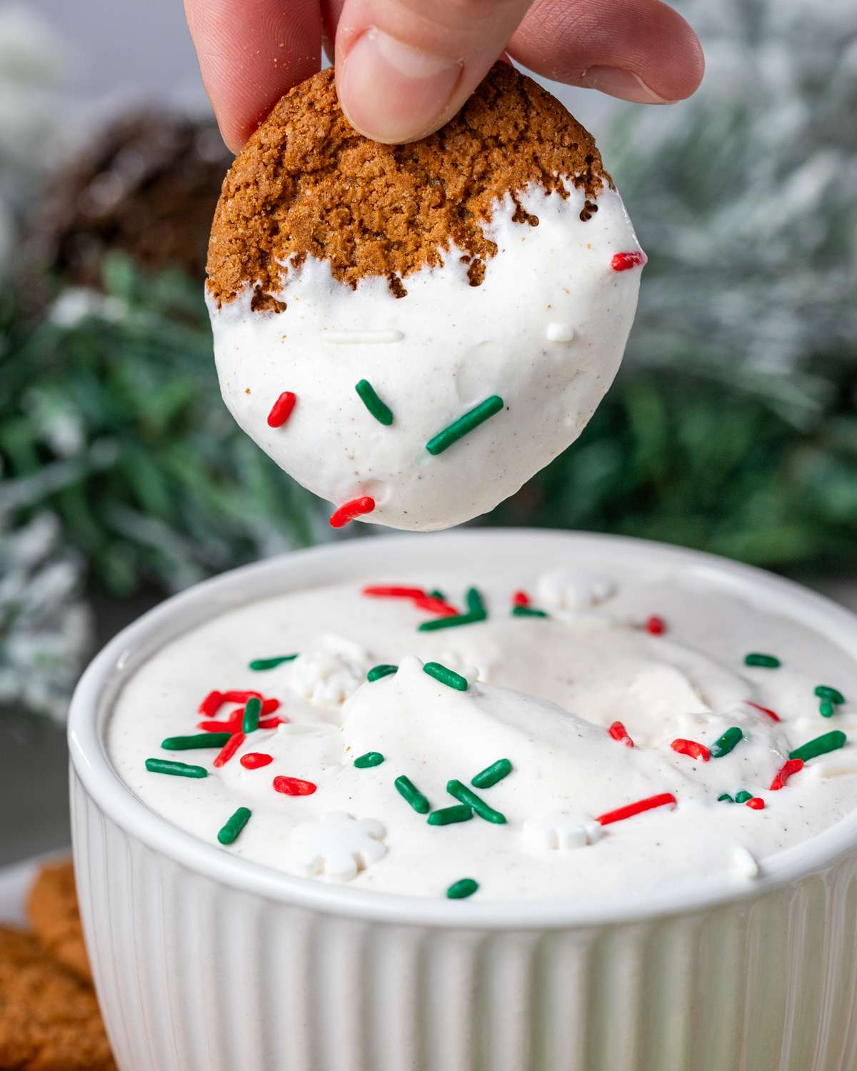 Eggnog Protein Dip