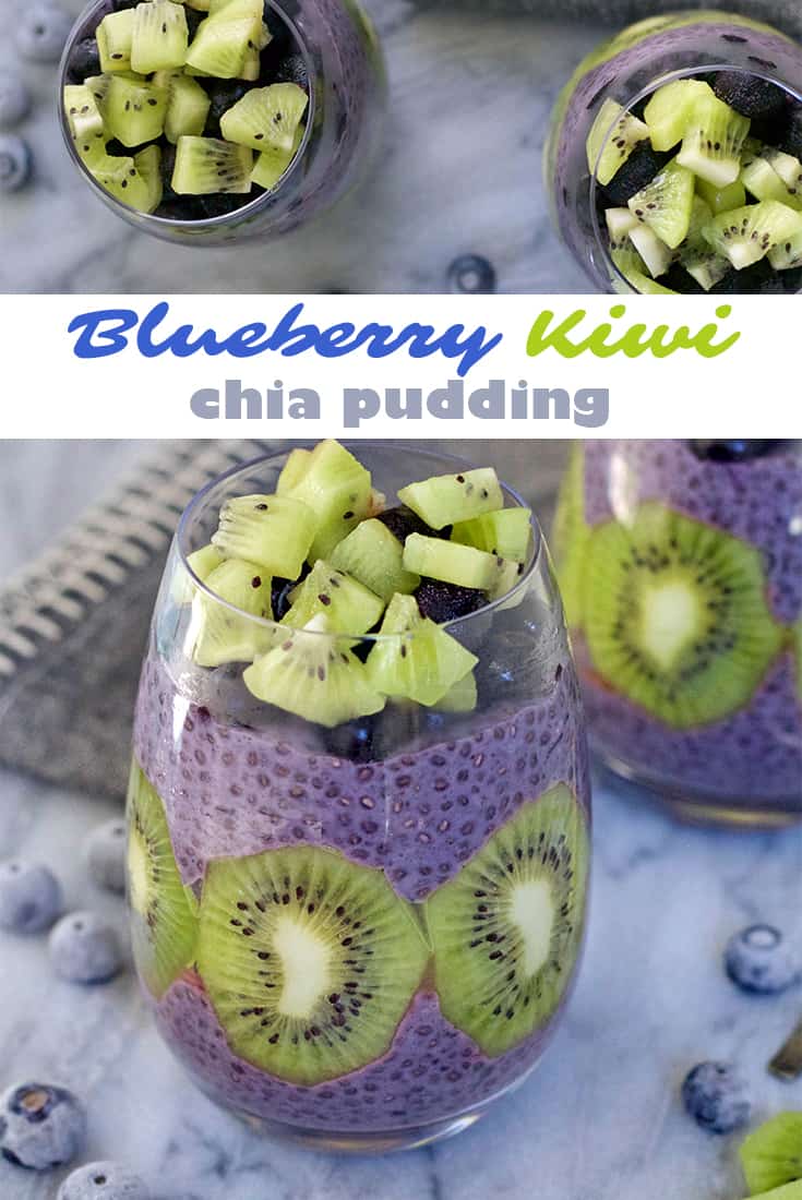 blueberry kiwi chia pudding