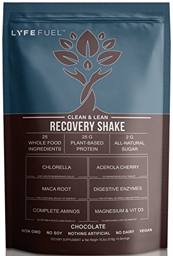 Life Fuel Clean & Lean Recovery Shake