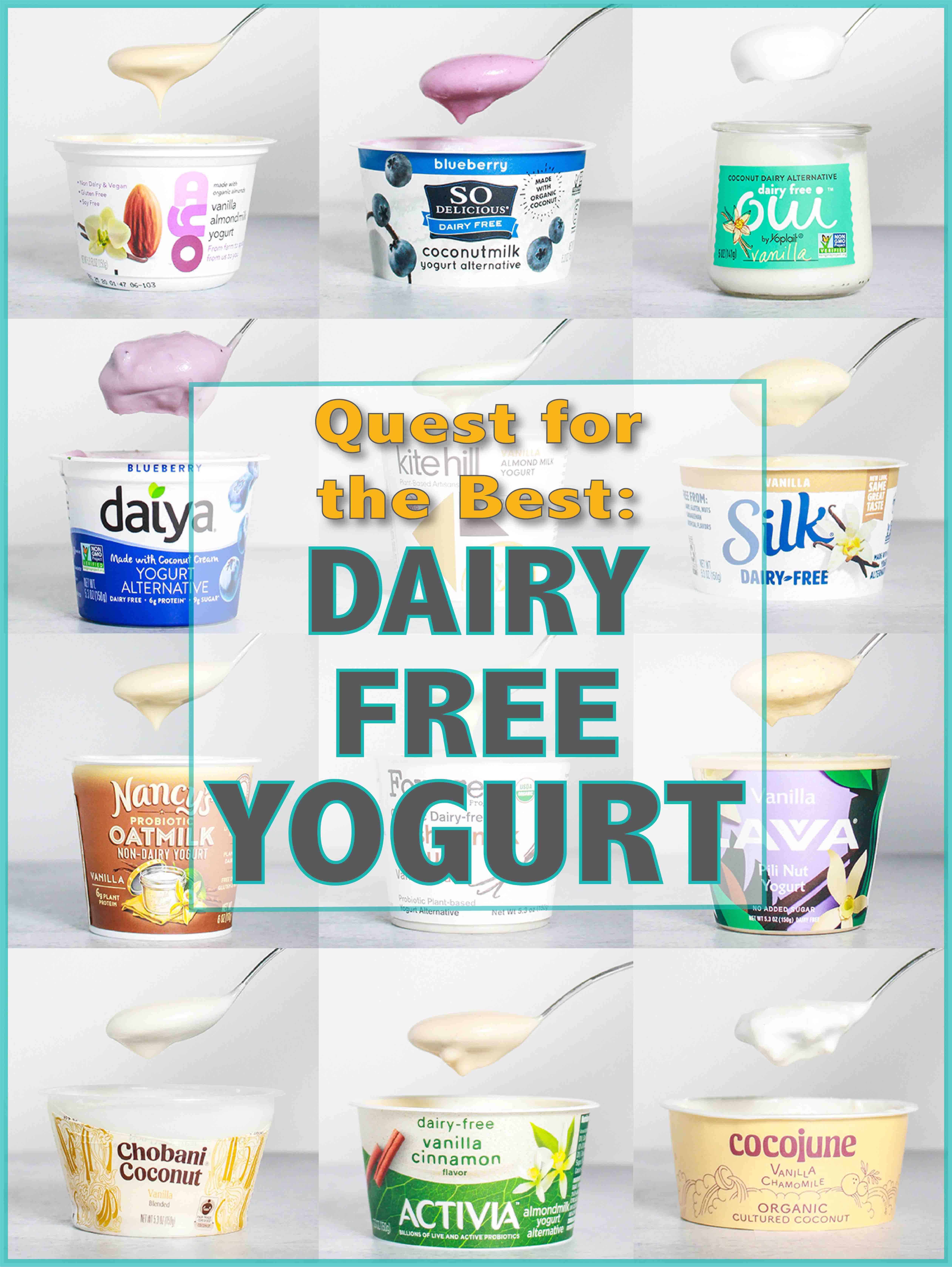 Quest for the Best – Dairy Free Yogurt