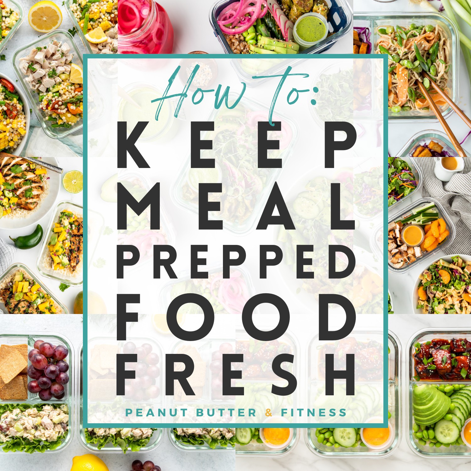 How to: Keep Meal Prepped Food Fresh