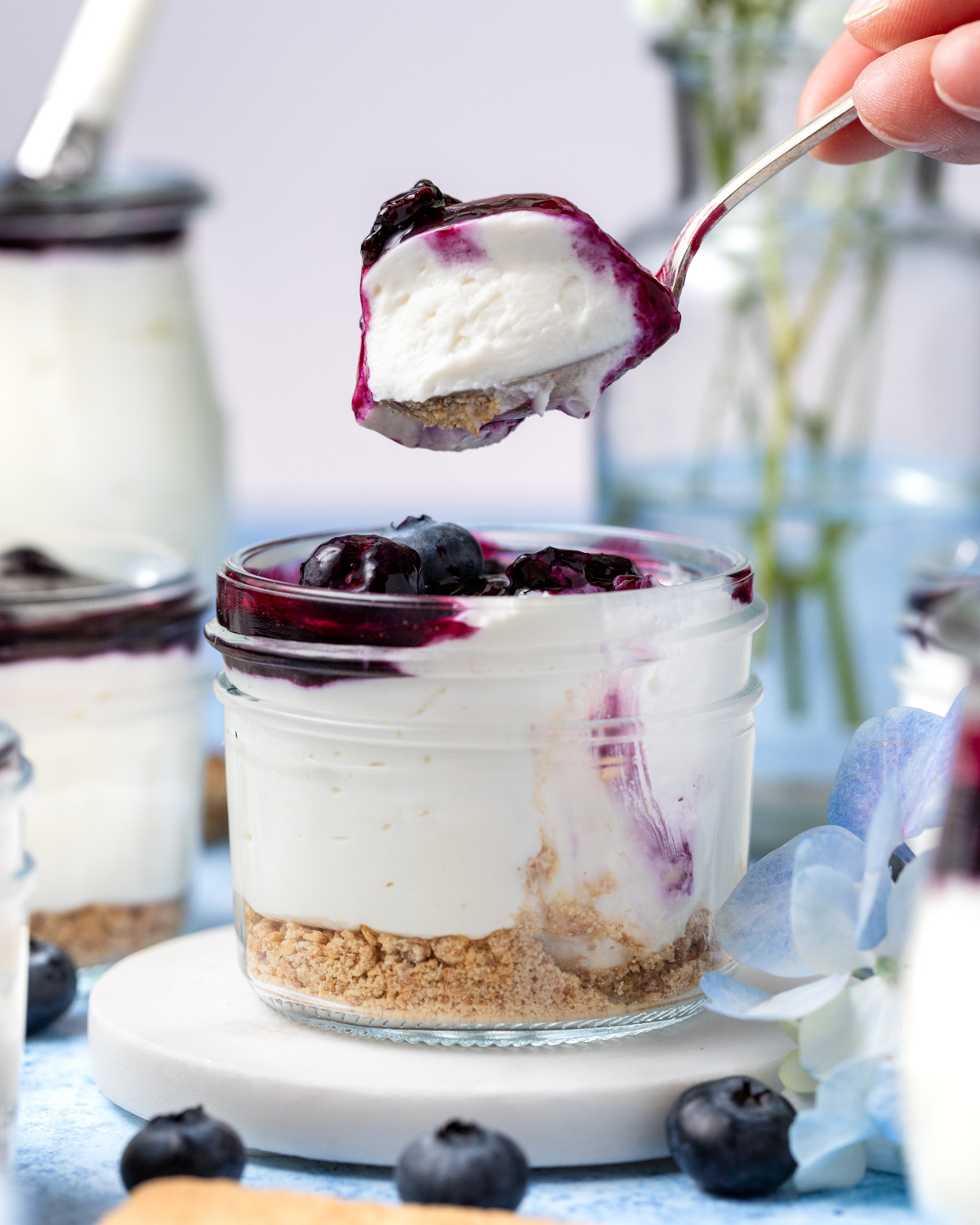 No-Bake Protein Cheesecake