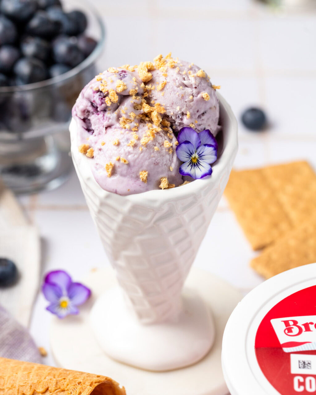 Blueberry Cheesecake Cottage Cheese Ice Cream