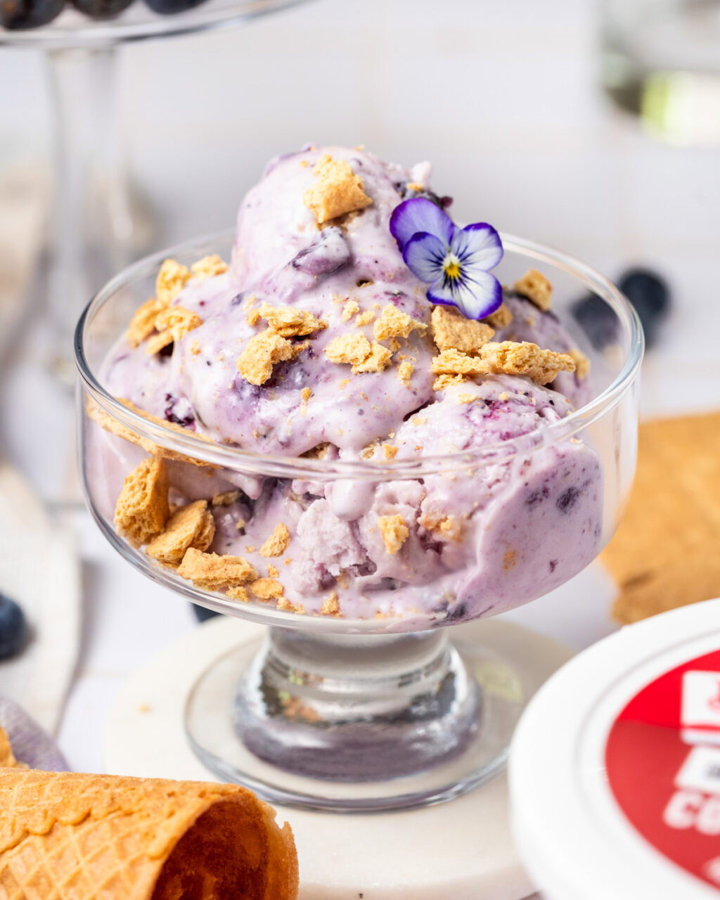Blueberry Cheesecake Cottage Cheese Ice Cream