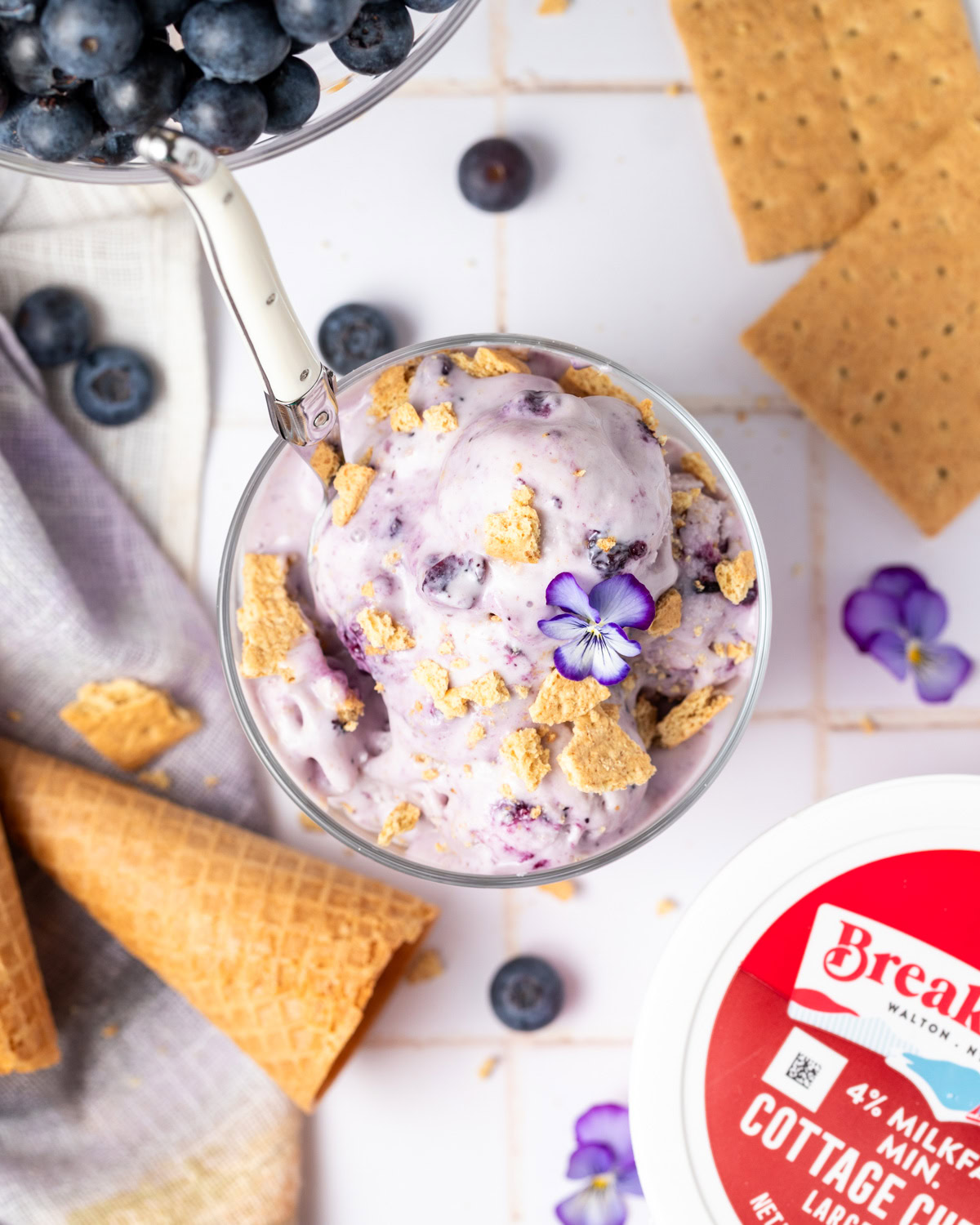 Blueberry Cheesecake Cottage Cheese Ice Cream